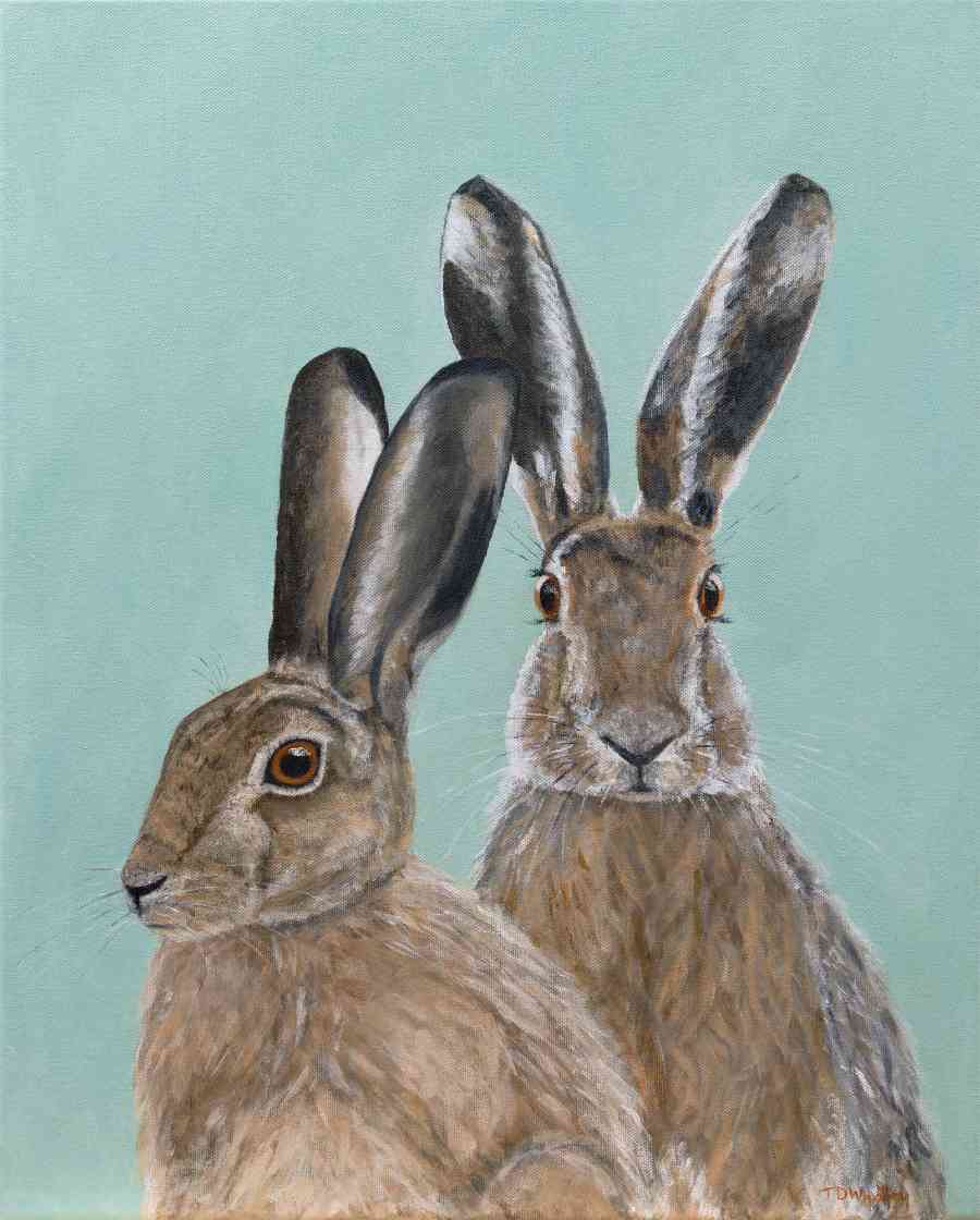 Mr & Mrs Hare